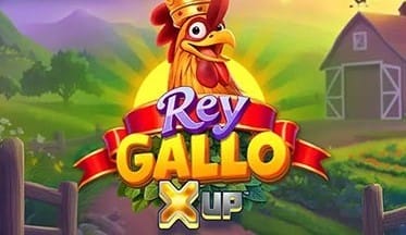 Rey Gallo X UP